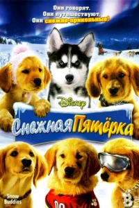  Снежная пятерка 
