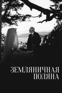  Земляничная поляна 